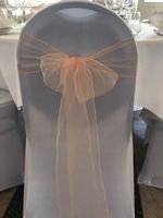 50 Stück Stuhlschleifen abricot Organza