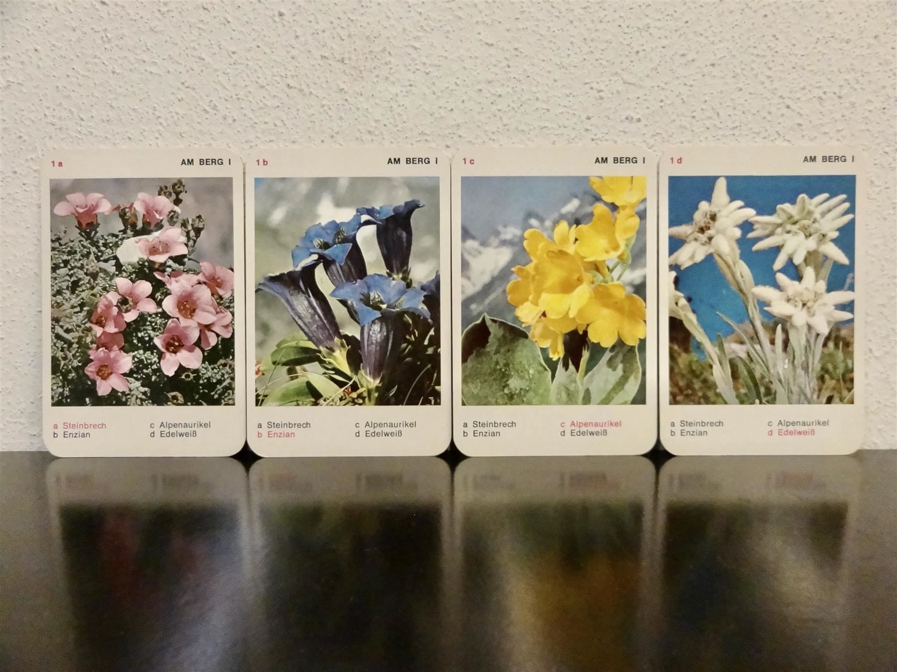 Giochi: altes Quartett BLUMEN-QUARTETT BLUMEN – Usato da Kerzers venduto da wisaundso 3