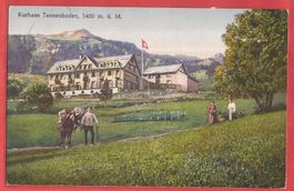 Flums - Kurhaus Tannenboden - ca. 1915