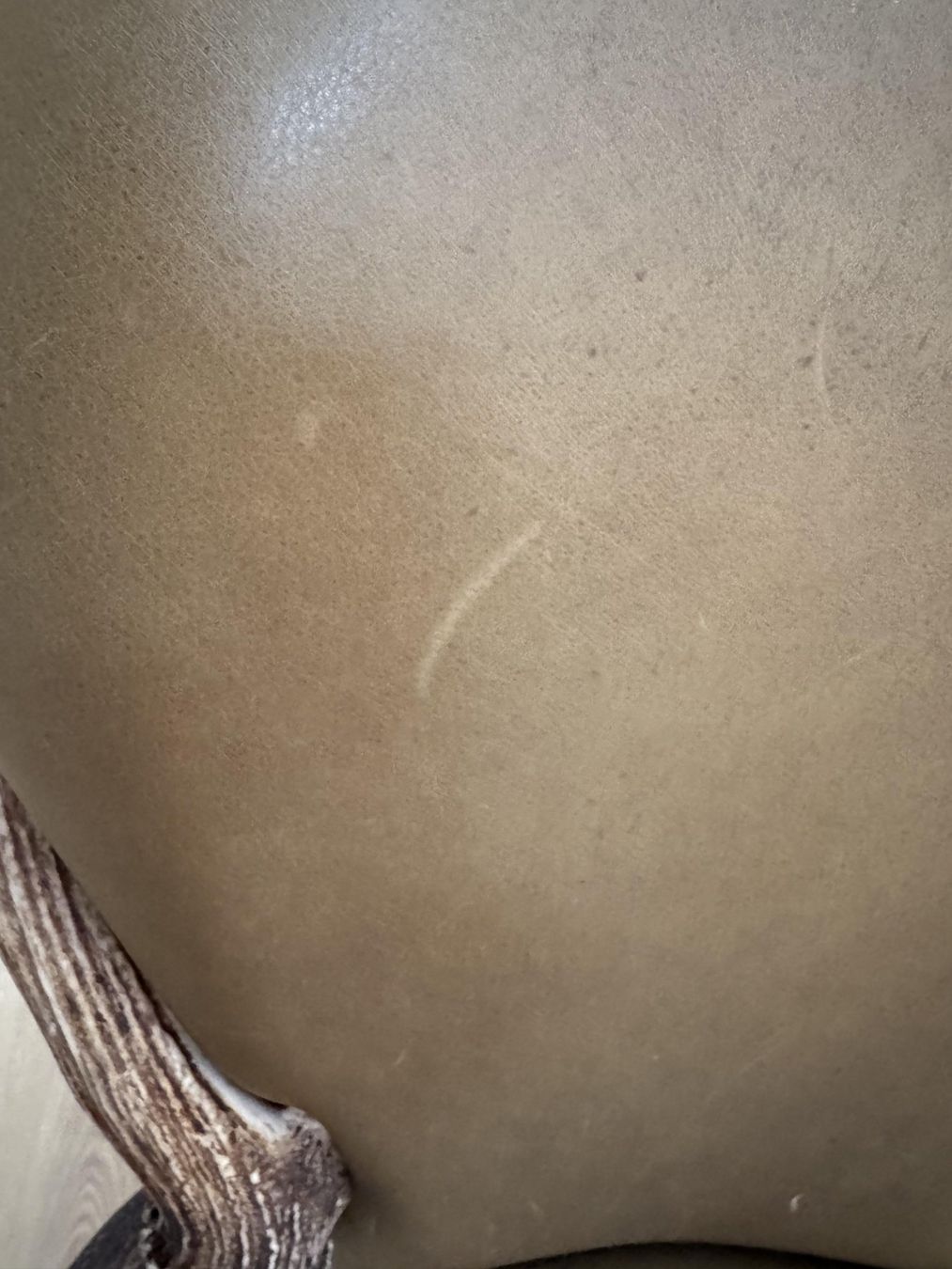 Sedie: Sedia con pale di daino e corna di cervo – Usato da Porza venduto da GioCa65 7
