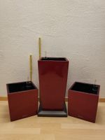 Lechuza Bewässerungssystem 3er Set
