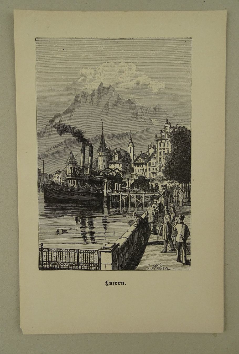 Incisioni: LUZERN, HOLZSTICH 1894 – Usato da Grüningen venduto da Kartensammler 1