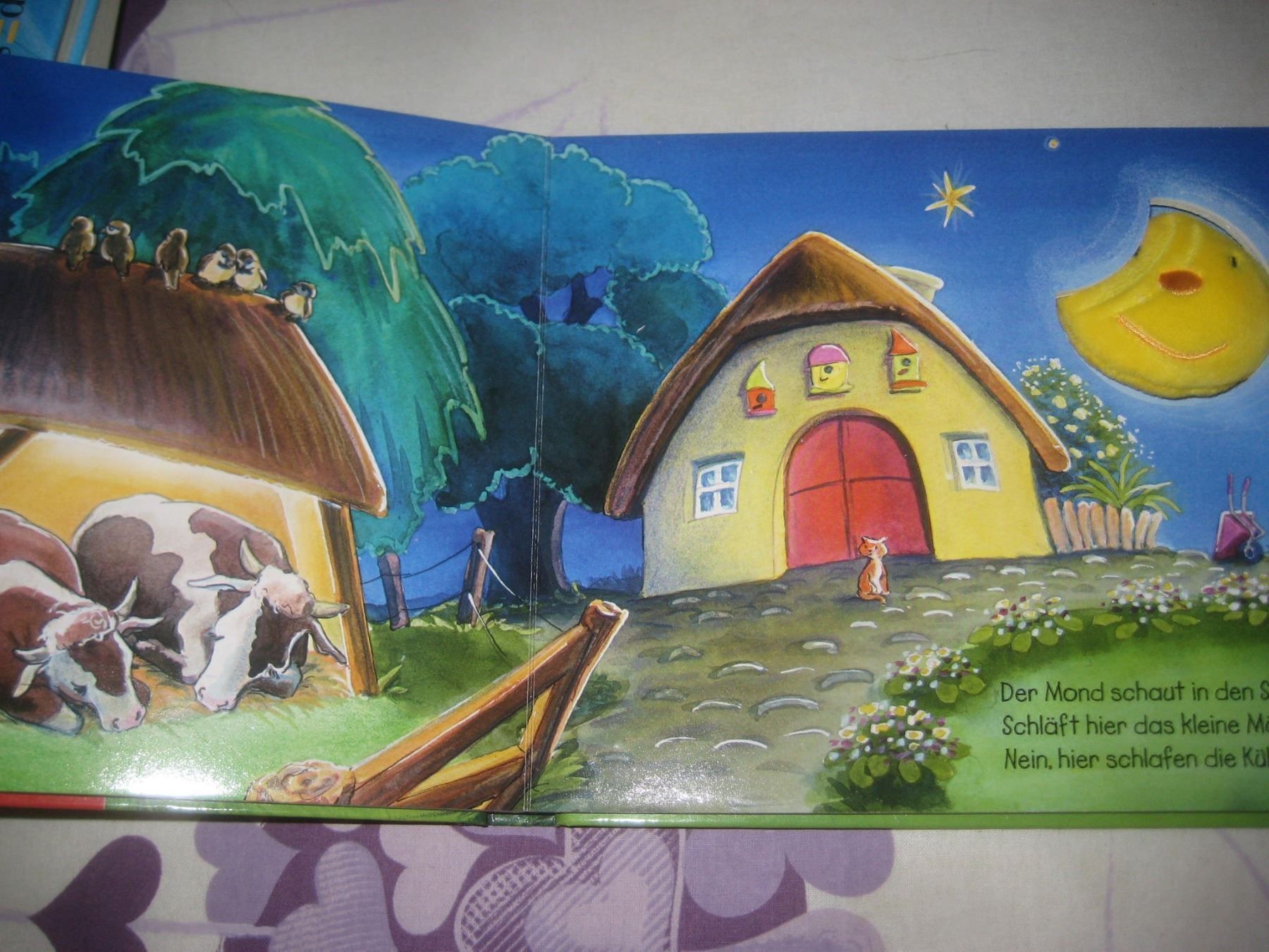 Libri: DER MOND SAGT GUTE NACHT – Usato da Uster venduto da flocke1 2