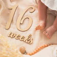 Meilenstein Holz Zahlen & Wörter für Baby neu