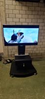 Rollwagen TV Ständer mit abschliessbarem Fach 46" TV