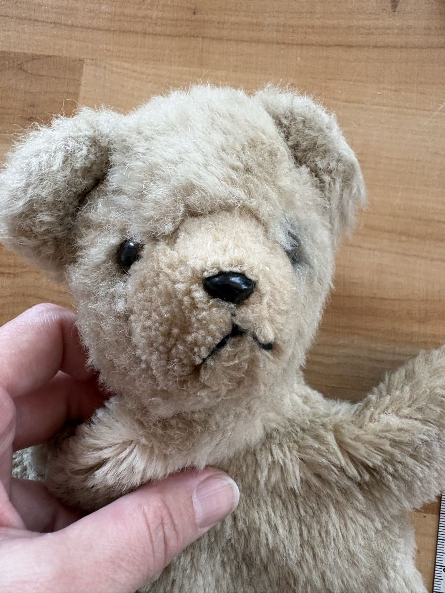 Bambole: Handpuppe Bär aus Plüsch – Usato da Rümlang venduto da SchumBru10 1