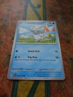 POKEMON  Cubchoo    G  OBF EN    053/197    HP70    2023