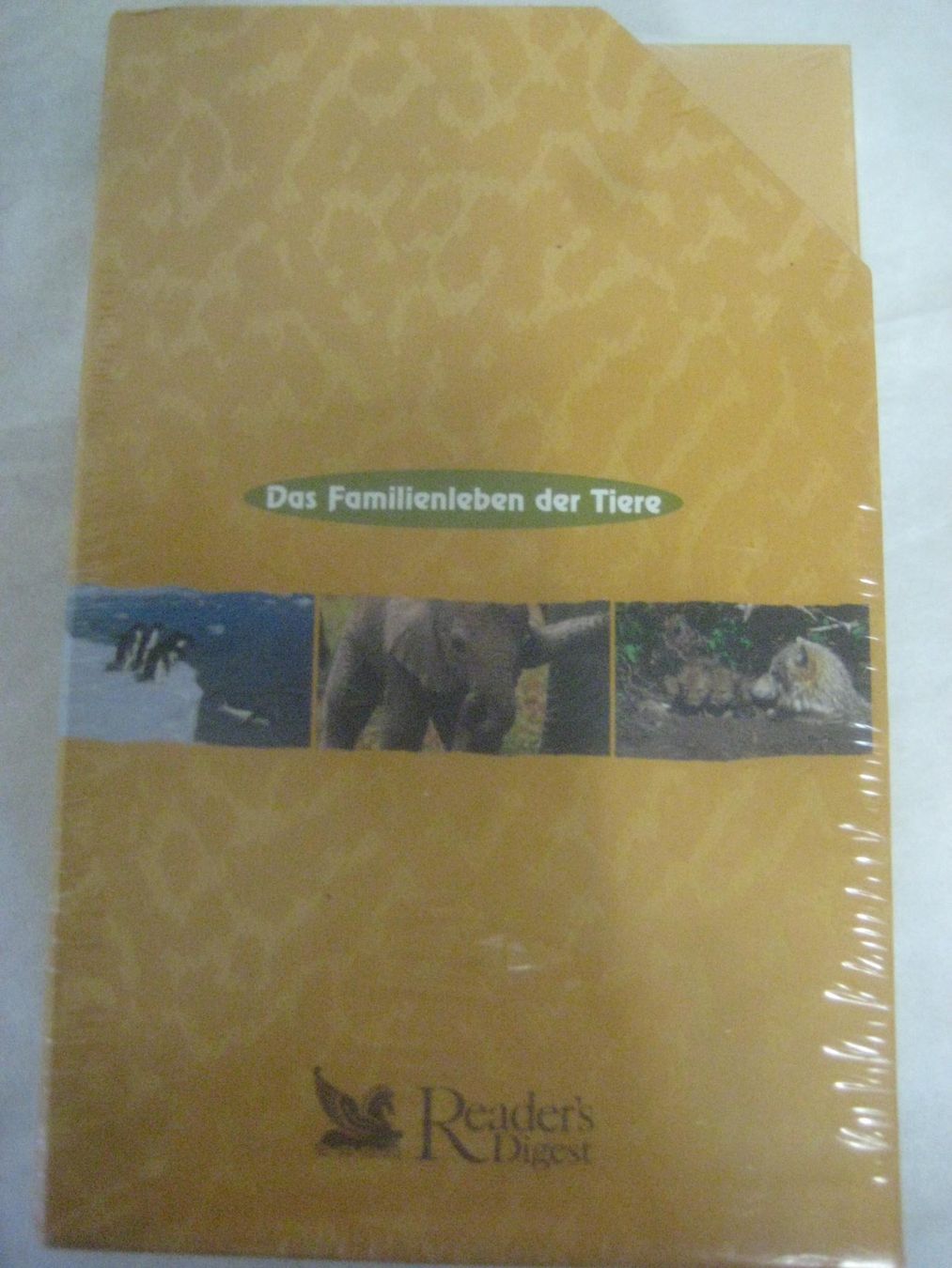 Alle DVDs: DVD  KASETEN – Neu und originalverpackt aus Uster von flocke1 2