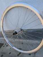 26 Zoll Hinterrad NEU – Kassette, Schnellspanner, Alexrims