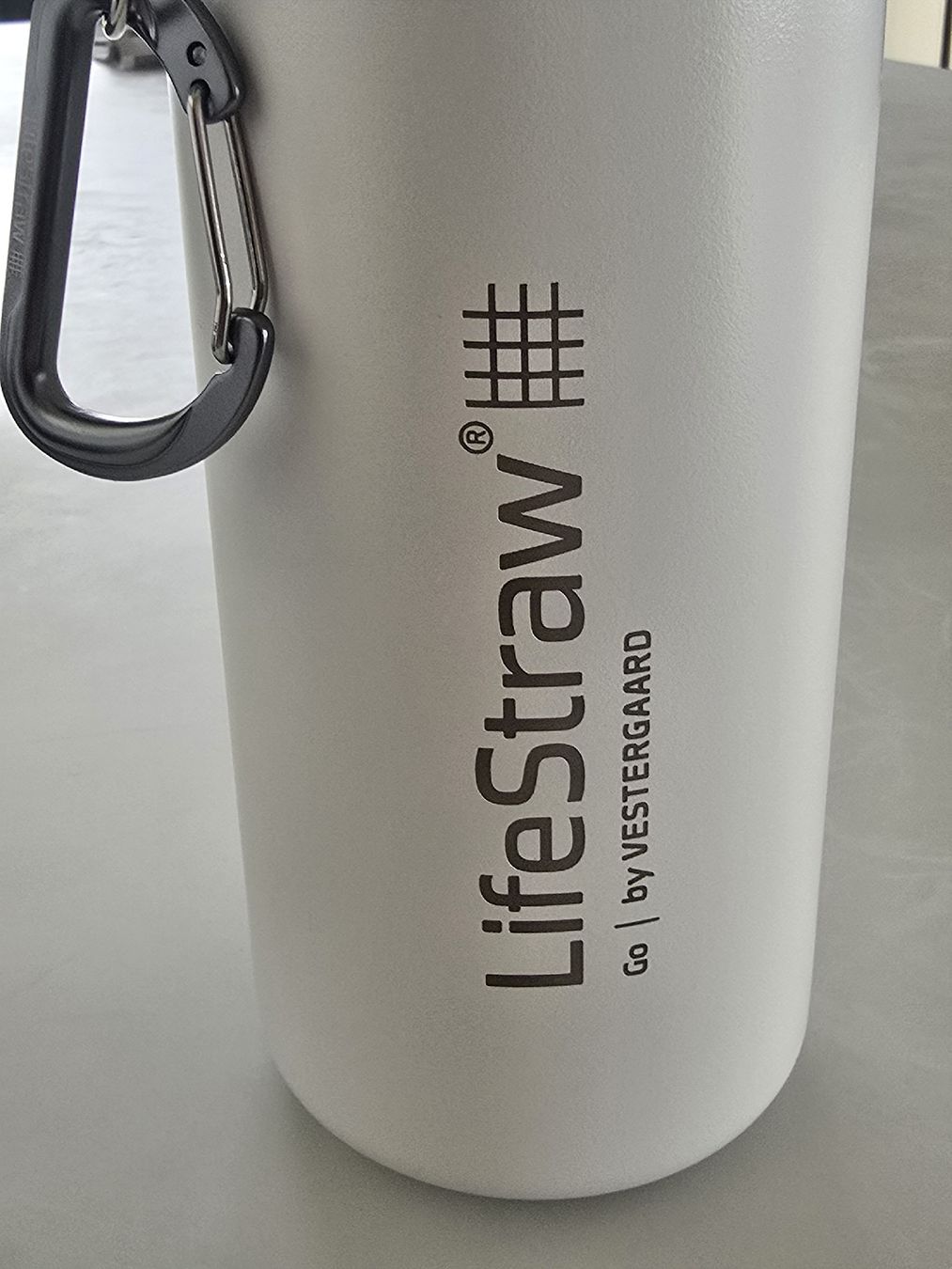 Borracce & Thermos: LIFESTRAW CHROMSTAHL WASSERFILTER FLASCHE 700ML – Nuovo e nell'imballaggio originale da Unterstammheim venduto da P911993 1