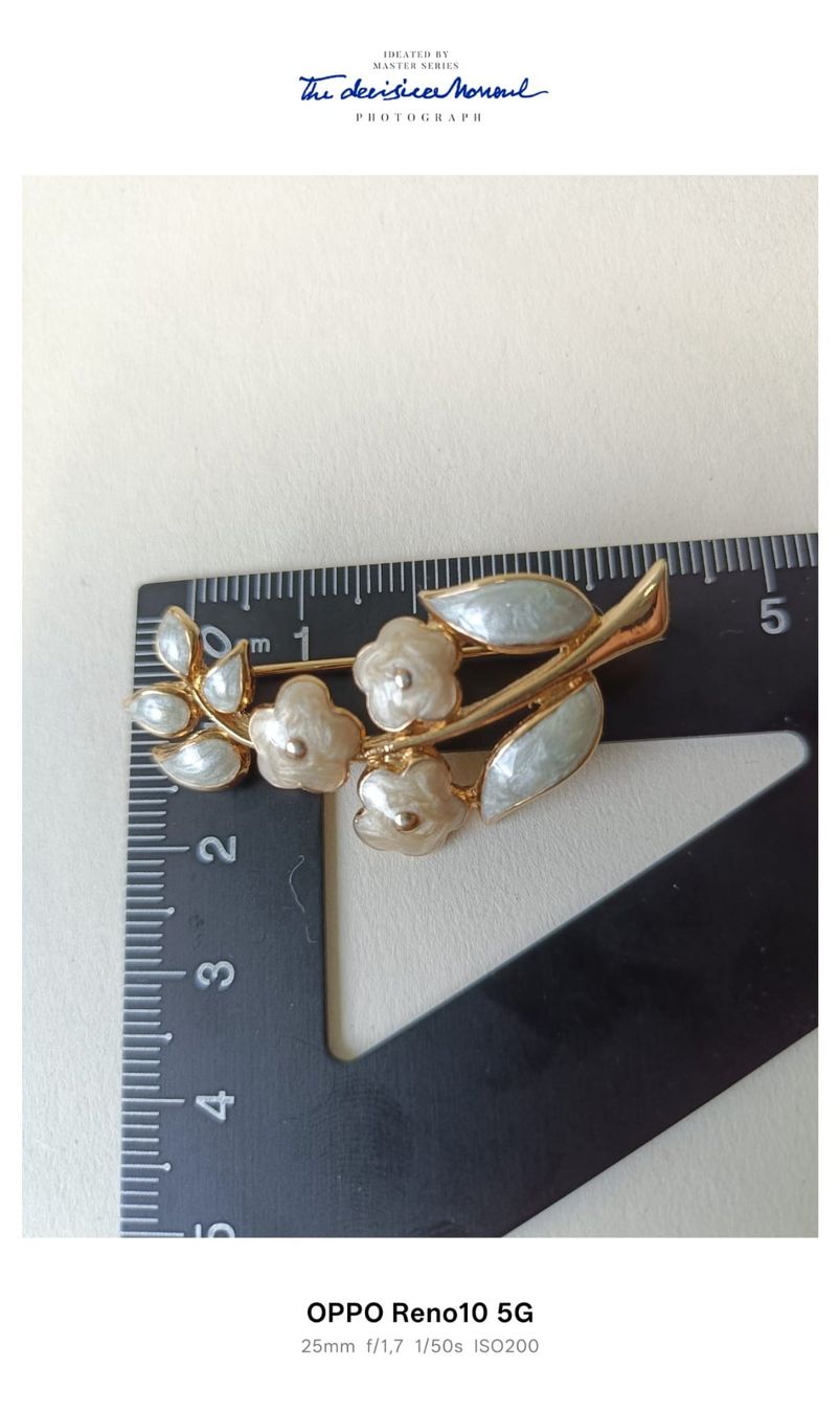 Broschen & Nadeln: Brosche (Perlmutt-Optik & Gold) – Gebraucht aus Bern von per_5lv7 2