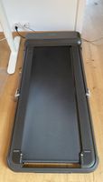 Kingsmith Walkingpad R1 Pro