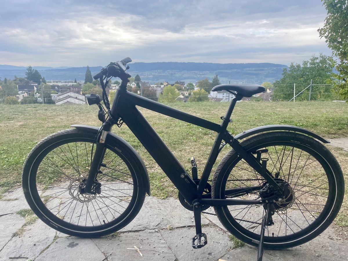 Trelago Biciclette: S Pedelec / E-Mountainbike 2 in 1 – Usato da Uster venduto da FRIEDEN8610