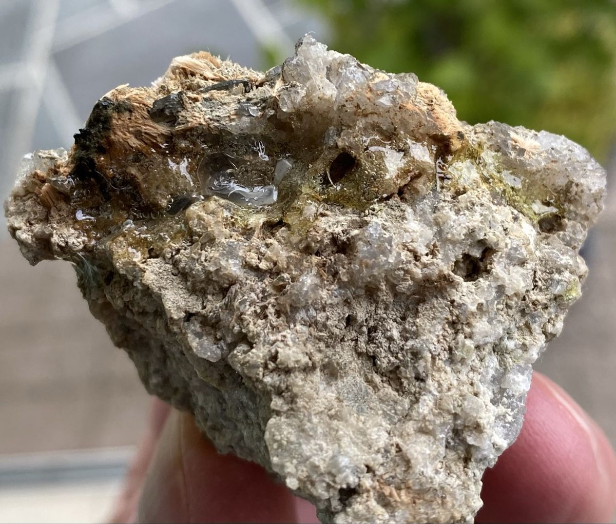 Minerali & Pietre curative: Wunderschöne Eisenrosen  – Usato da Selzach venduto da 321compac 6