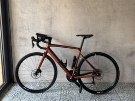 Rose Reveal AL 105 Di2 / 55cm