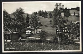 AK Hemberg, Ortspartie mit Wohnhäusern