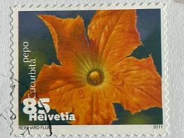 WE127) 1376Ab, Zucchini, Abart verscho. Druckfarben Kt 1500
