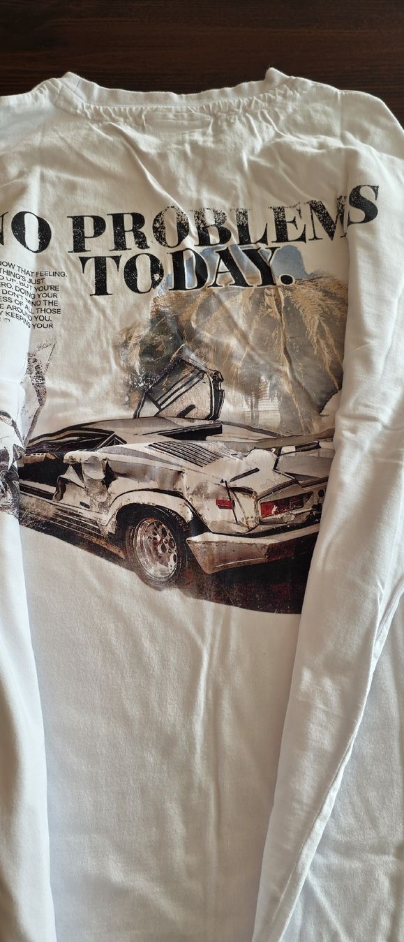 T-shirt: JP Performance No Problems Today T-Shirt 2XL Carbonized – Usato da Biel/Bienne venduto da Popoff1 2