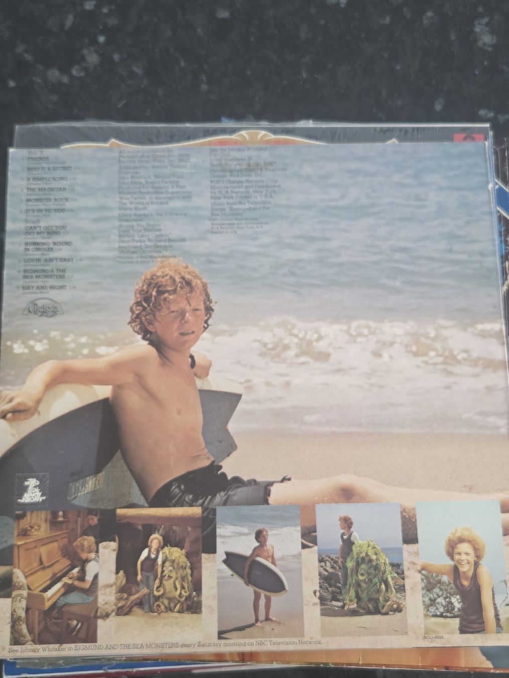 Dischi in vinile: Johnny Whitaker  – Usato da Müntschemier venduto da Fee_00 1