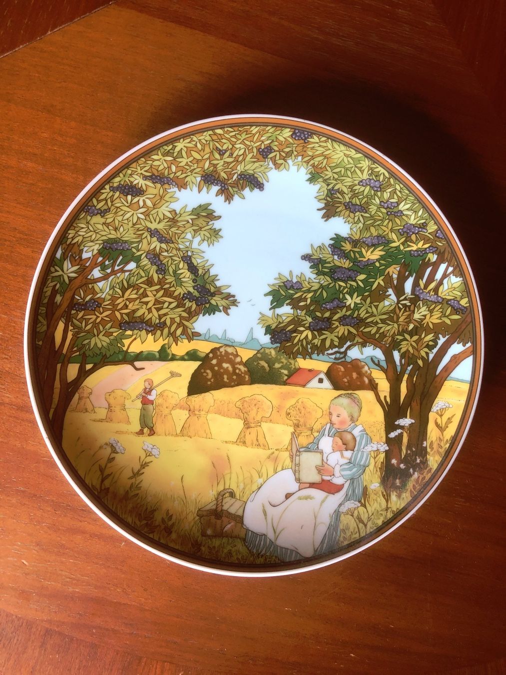 Villeroy & Boch Piatti: Sammelteller – Nuovo (secondo la descrizione) da Erlinsbach SO venduto da Elmslie 2