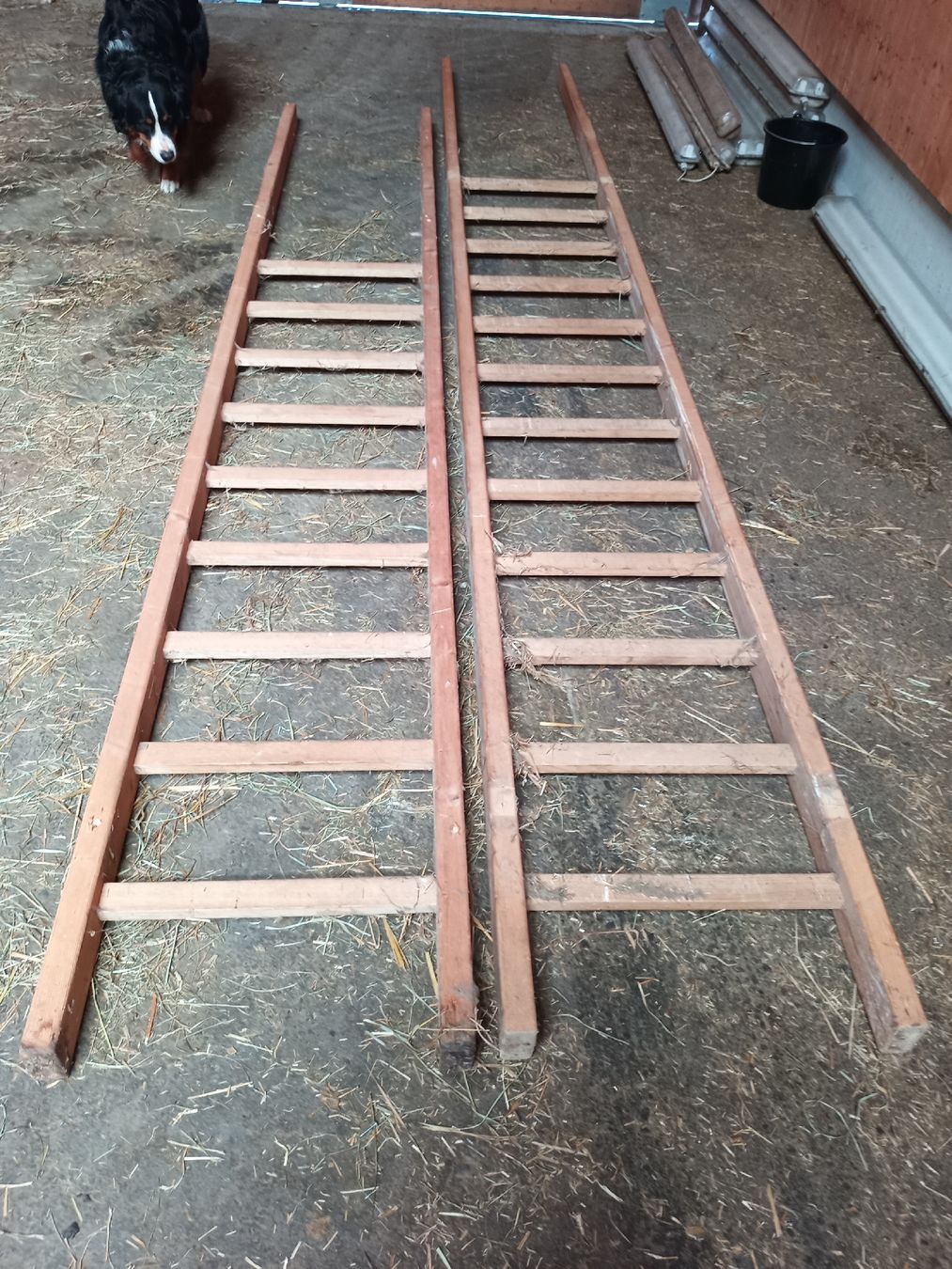 Scale: Holzleitern – Usato da Bellikon venduto da sil_7czn
