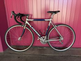 Rennvelo Stevens