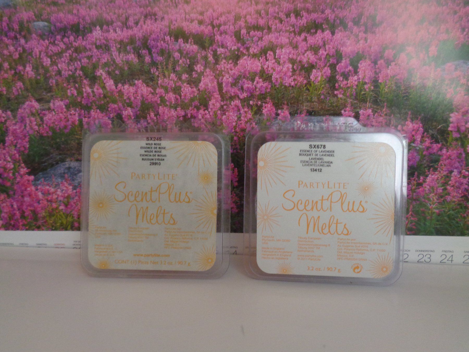 Partylite Candele: Scent Plus Melts Lavendel ODER Wilde Rose – Nuovo e nell'imballaggio originale da Frauenkappelen venduto da Sunneschy00 1
