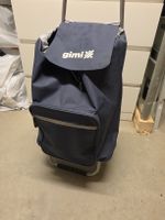 Einkaufs Trolley 