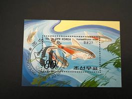 Korea 1991 Zierfische gest.  (C539)