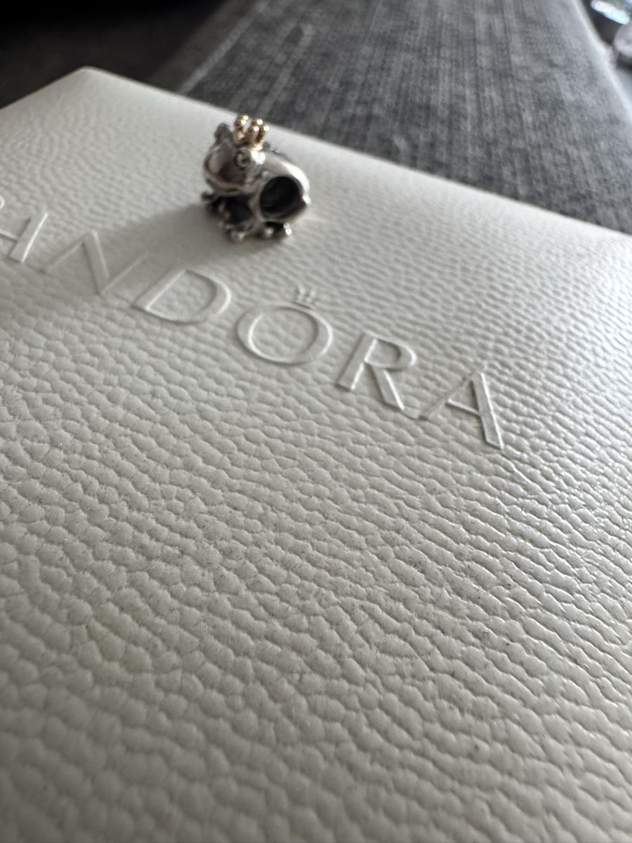 Pandora Pendentifs: Pandora Charm – Neuf (Voir description) à Kerzers par SaphiraKH 1