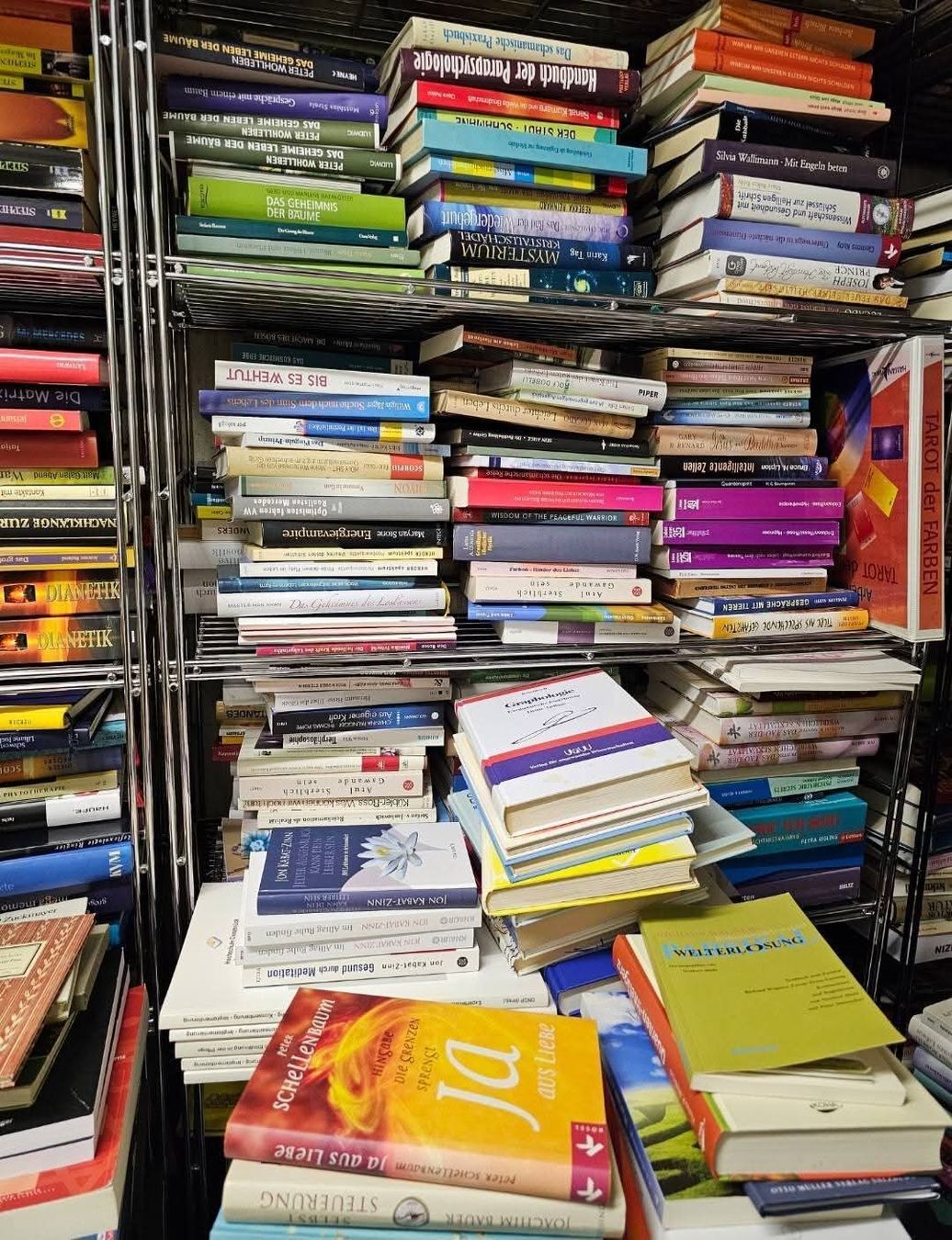 Bücher: Büchersammlung, 900 stk – Gebraucht aus Niederrohrdorf von Viktorius 2