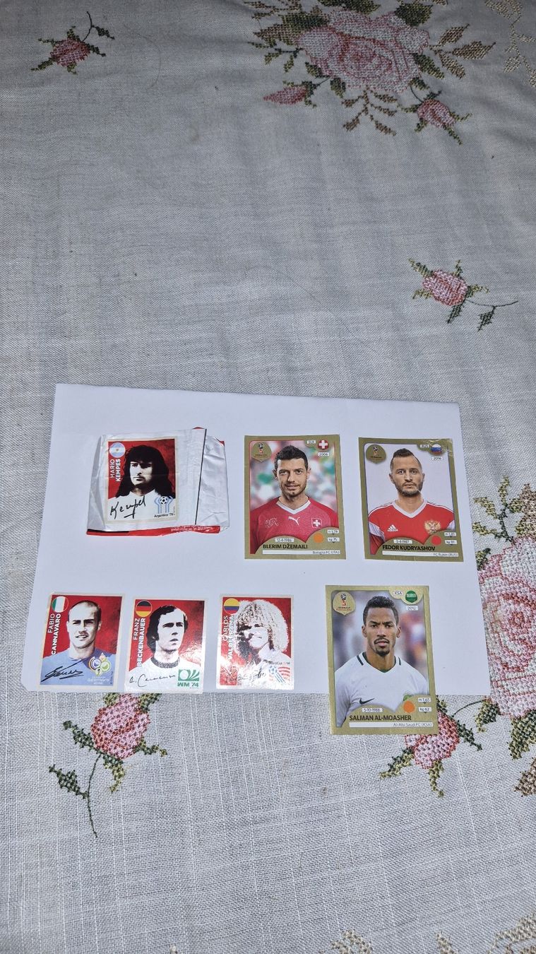 Sticker: FIFA WM Russland 2018 Stickers – Usato da Zürich venduto da ste_58ck