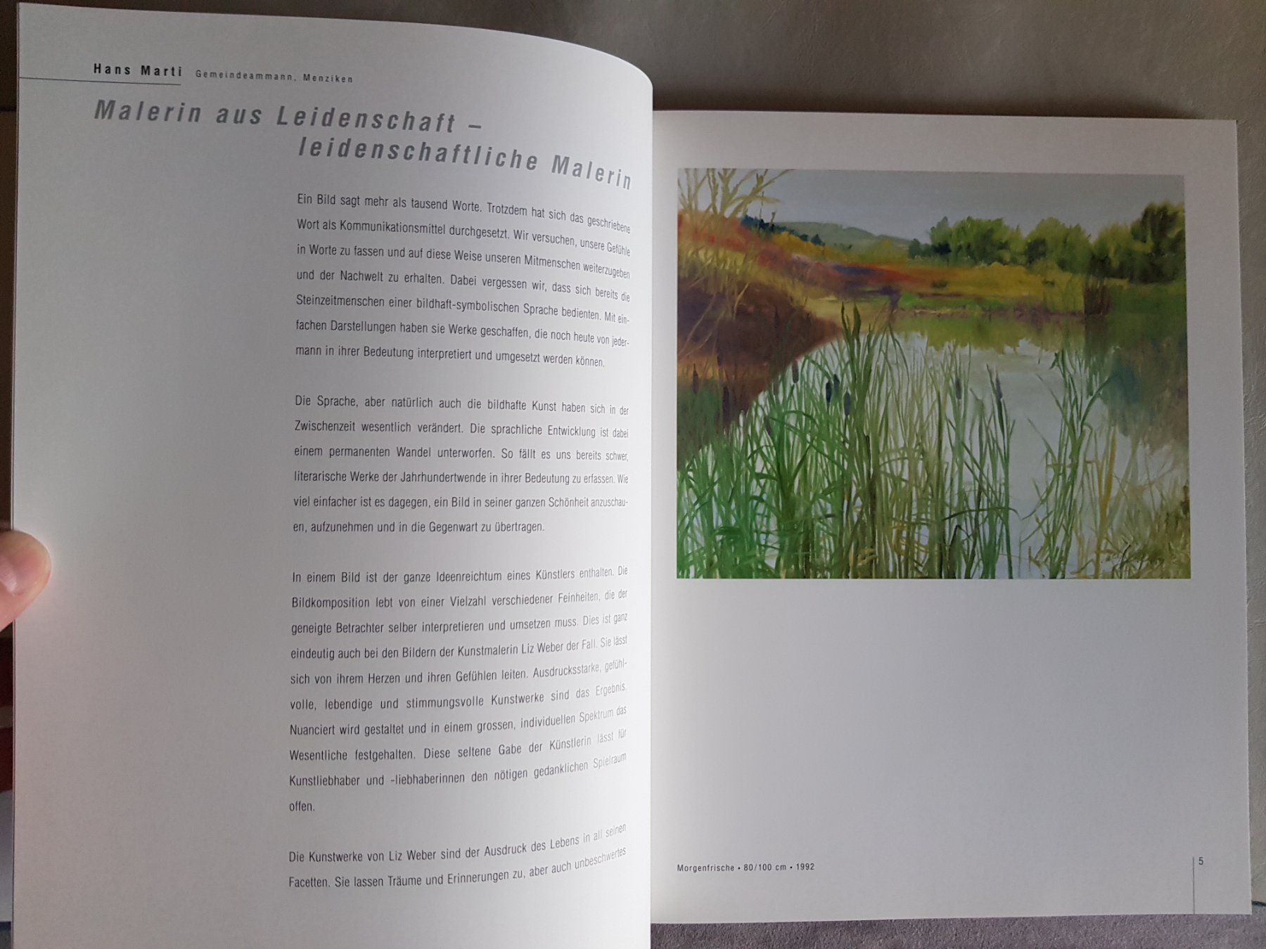 Bücher: Buch: Liz Weber - Malerei - 1998 – Gebraucht aus Walterswil BE von Lonitti 1