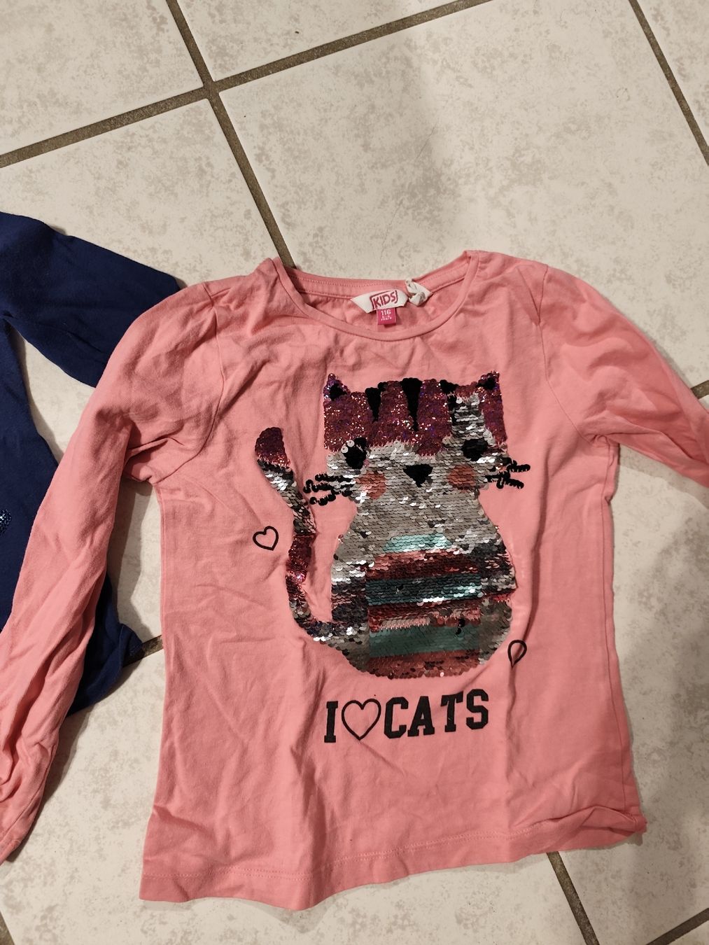 Camicette, T-shirt & Top: Shirts Bluse Gr 110/116 – Usato da Fulenbach venduto da meje0081 3