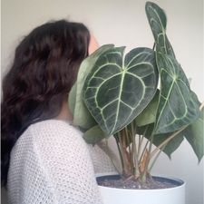 Profile image of Marryrazzi