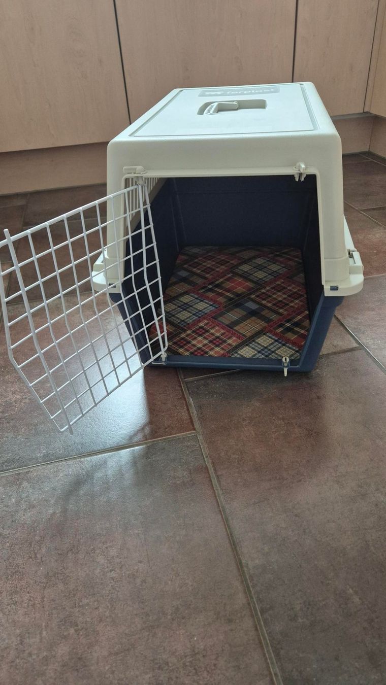 Ferplast Cucce & Letti: Katzen-Hundetransportbox – Usato da Felben-Wellhausen venduto da Thurwid54 1