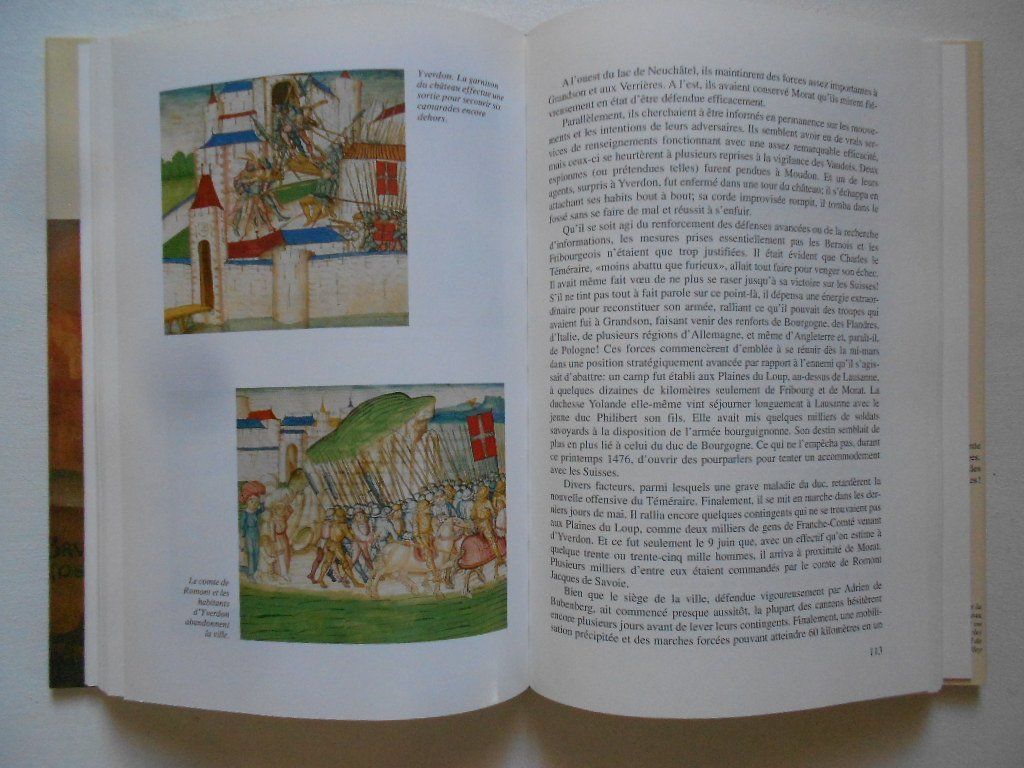 Libri: YVERDON  -  HISTOIRE D' YVERDON – Usato da Bex venduto da Giorgiob 5