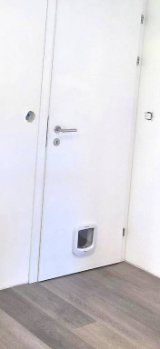 Gattaiole: Lot de 2 chatières Petsafe – Nuovo (secondo la descrizione) da Cerneux-Péquignot venduto da Julsac 3