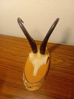 Gemshorn Trophäe
