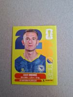 PANINI FIFA 2026 BIH 16