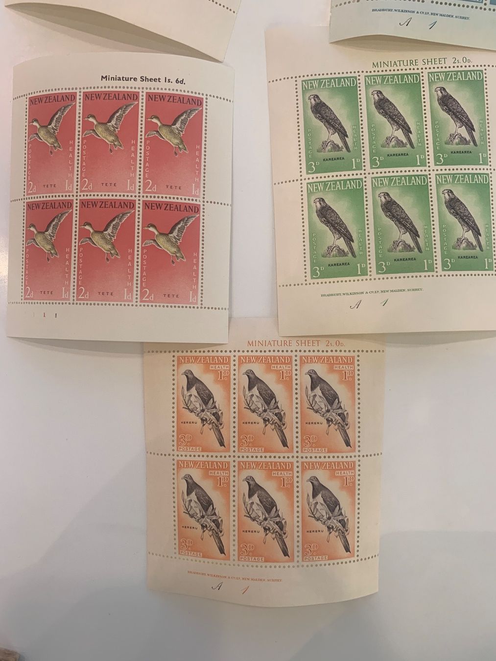 Tutti i francobolli: Kleinbogen mit VOGELMARKEN Neuseeland 10 STÜCK – Usato da Winterthur venduto da SchatzchischtliWinti 3