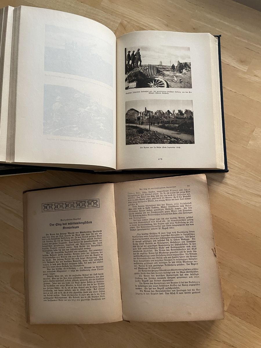Libri: Der 1 Weltkrieg – Usato da Allschwil venduto da Binggi1968 1