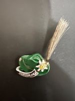 Alter Schweiz Anstecker Pin sehr schön🤩