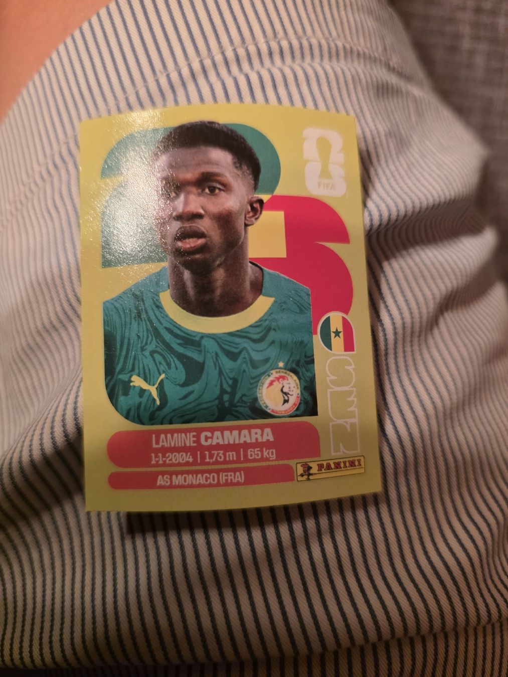 Panini Cartes à collectionner: Panini WM 2026 SEN 14 Camara – Neuf (Voir description) à Romanshorn par leeh78