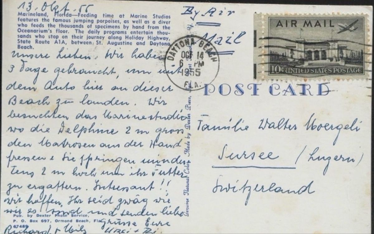 Cartes postales: Postkarte Marine Studios Delfinshow – D'occasion à birsfelden par tim0444 1