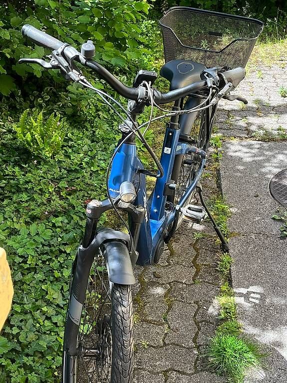 Flyer Biciclette: FLYER Gotour5  Top Zustand – Usato da Zürich venduto da jim_9gkk 1