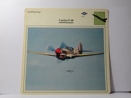 Flugzeug  ,  Curtiss P - 40