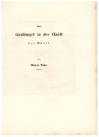 Archäologie: Grabhügel in der Hardt bei Basel