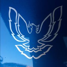 Profile image of jeep1996