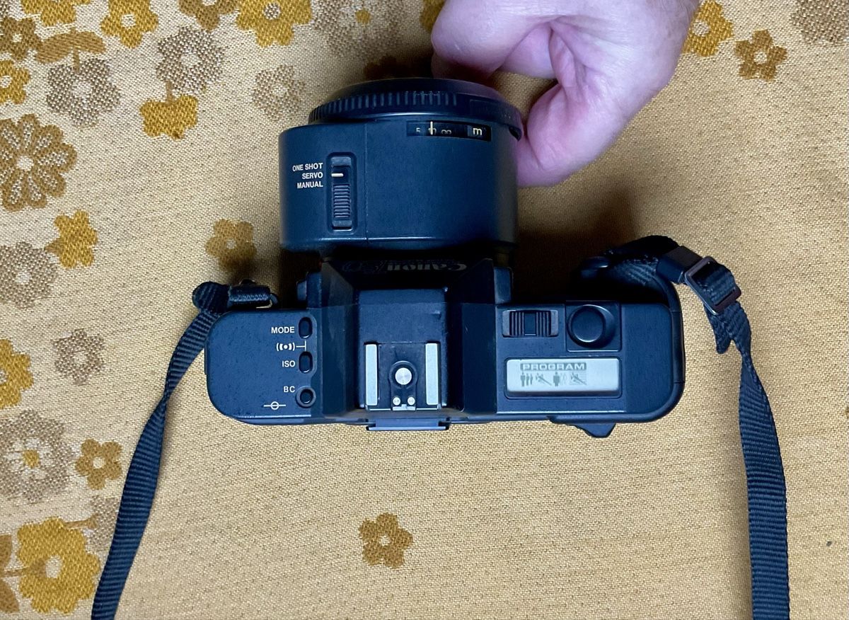 Canon Fotocamera: Canon T80 Set: Kamera, Blitz, Filter, Tasche – Usato da Endingen venduto da nathan05 1